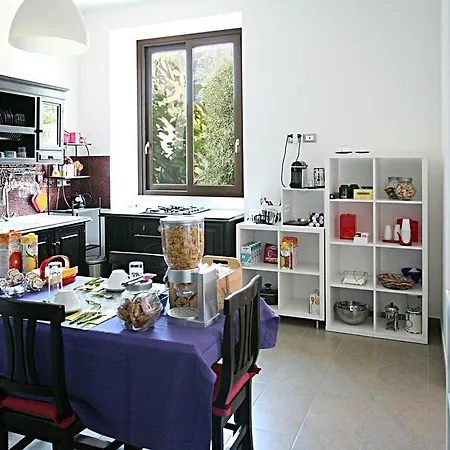 Orchidea * Catania